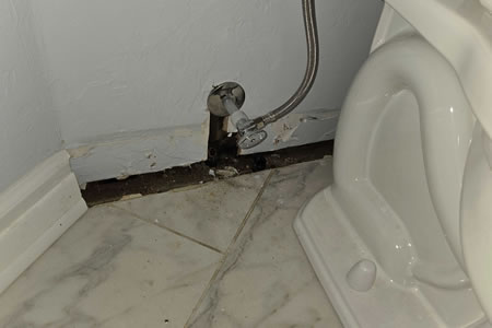 Why Late Summer Is the Perfect Time to Check for Hidden Plumbing Leaks